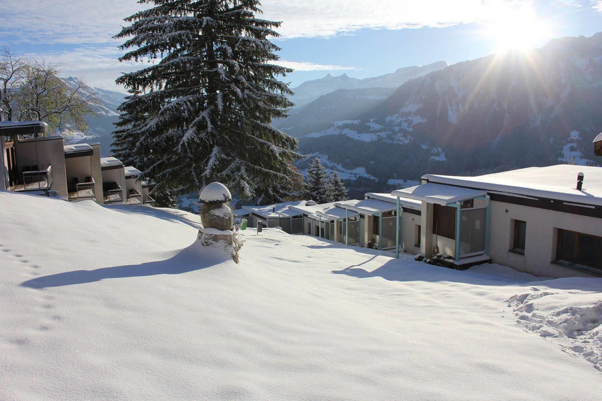 Leysin Lodge Ngoại thất bức ảnh